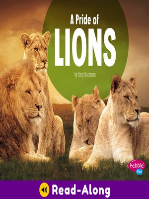 cover image of A Pride of Lions